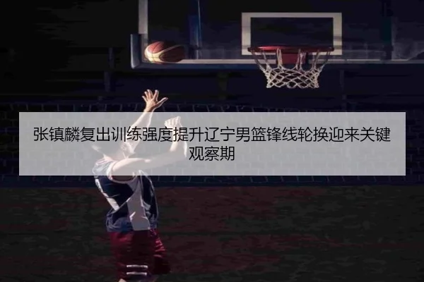 张镇麟复出训练强度提升辽宁男篮锋线轮换迎来关键观察期